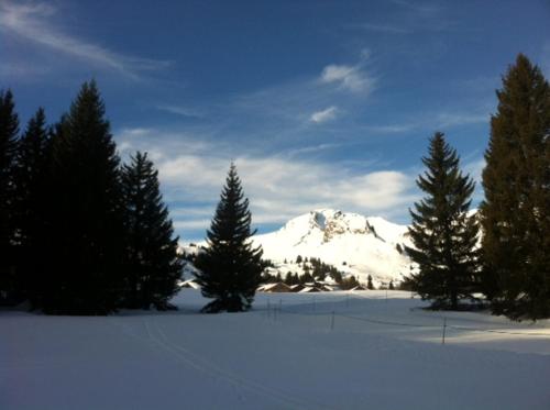 Terrasses Du Mont Blanc