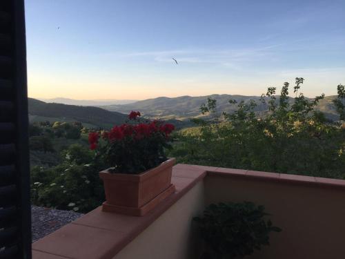  Terrazza a Campana in Panzano