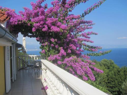 Apartmani Benko Medveja