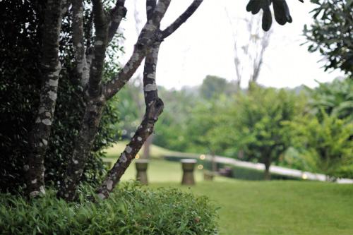 Yoma Hotel, Pai