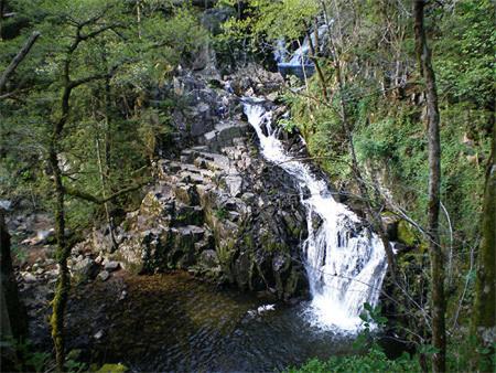 Camping Base de Loisirs du Lac de la Moselotte