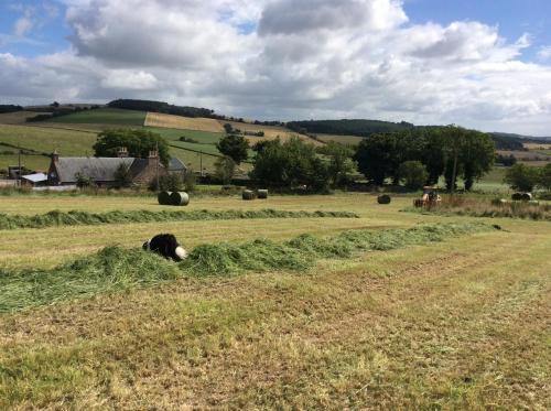 Broadsea in อินเวอรูรี