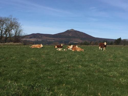 Broadsea in อินเวอรูรี