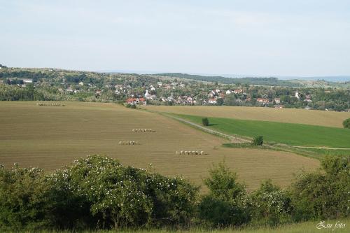 Békesség Szigete, Klasszik Apartman