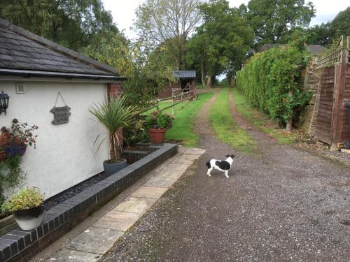 Little Rushbrook Cottages - image 6