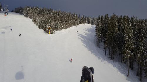 Chata - Srub Kašparáci obrázok
