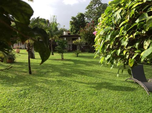 Le bungalow des bougainvilliers - image 4