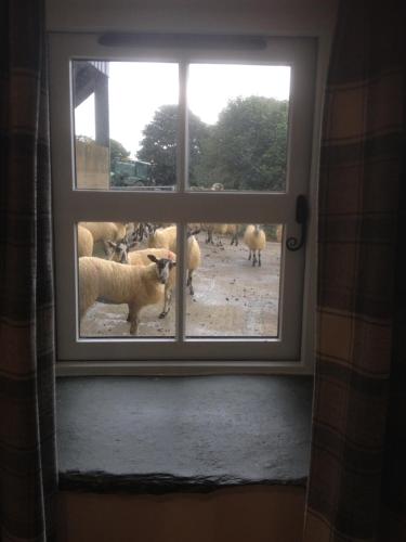 Highside Farm B&B - main image