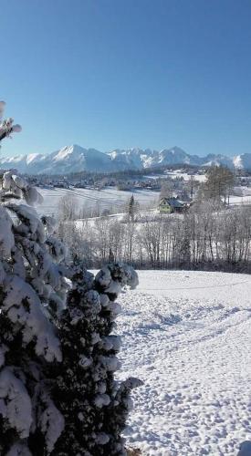 Agrotatry U Stachy Agrotatry U Stachy