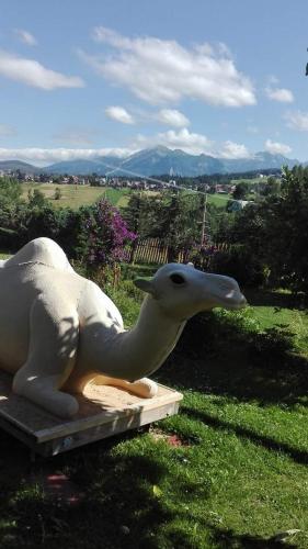 Agrotatry U Stachy Agrotatry U Stachy