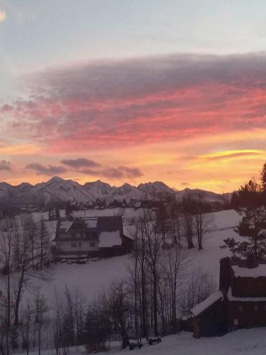 Agrotatry U Stachy Agrotatry U Stachy