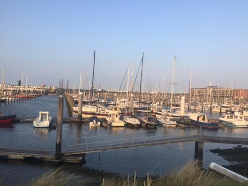 Chalet Jade in IJmuiden