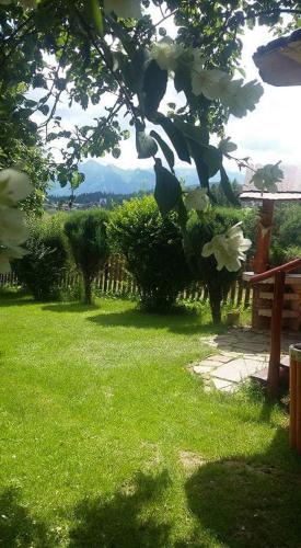 Agrotatry U Stachy Agrotatry U Stachy