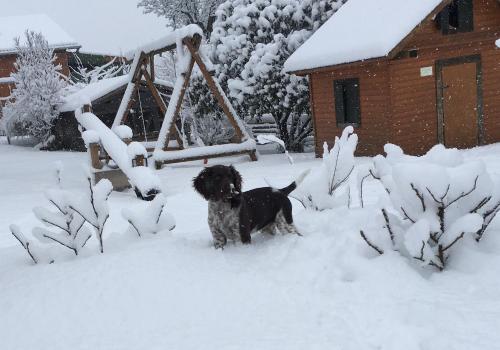 兹塔斯巴瓦农家乐 兹塔斯巴瓦农家乐