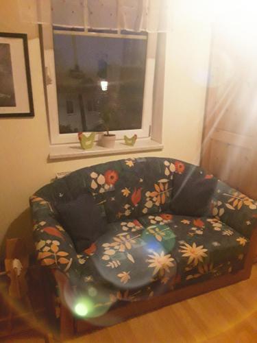 Waldesruh Ferienwohnung in Freistadt