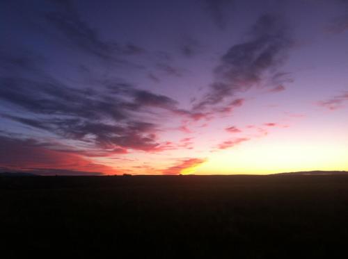 景觀, Solway House in 亞歷山德拉