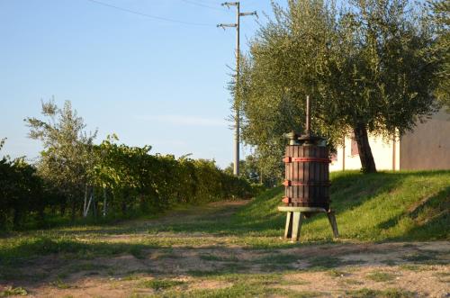 Agriturismo Casale Contessa