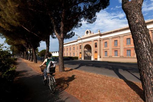 Calamai by the River srl