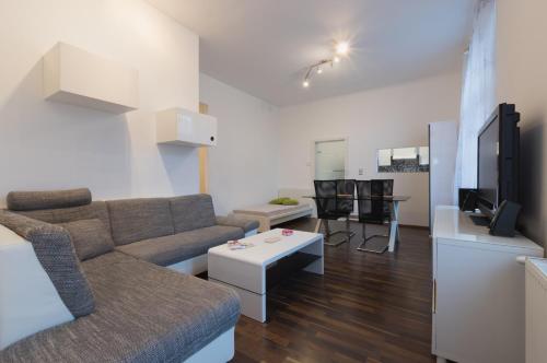 Spacious Apartment in Center with Terrace, Vídeň (fotografie 5)