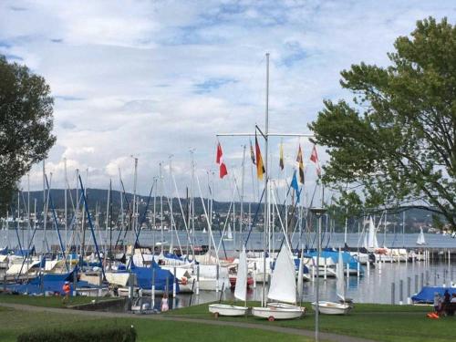 Landhotel Bodensee - image 7