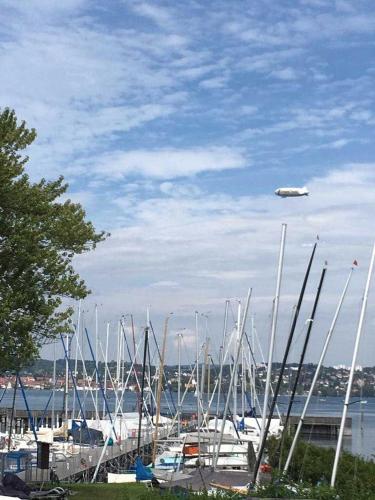 Landhotel Bodensee - image 2