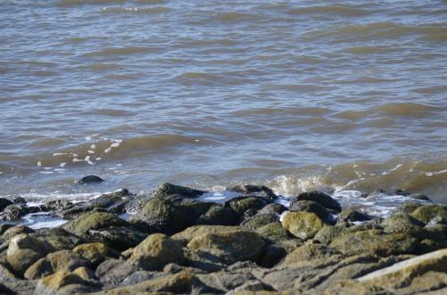 Strandstern mit Wallbox 2.8km von Misselwarden entfernt