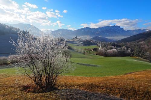  Ferienhof Unterführholzergut, Pension in Klaus bei Trattenbach