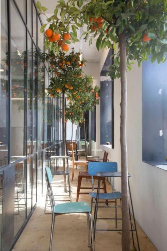 Bed & Boarding - image 6