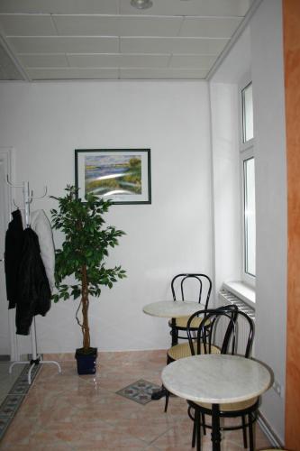 Apartment Gabriela, Vídeň (fotografie 5)