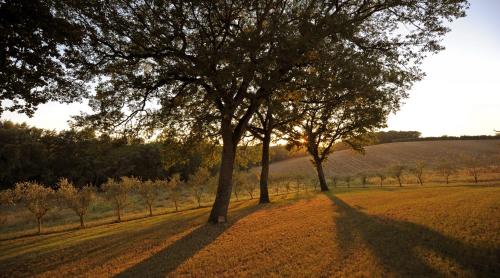 Agriturismo Podere Campinovi