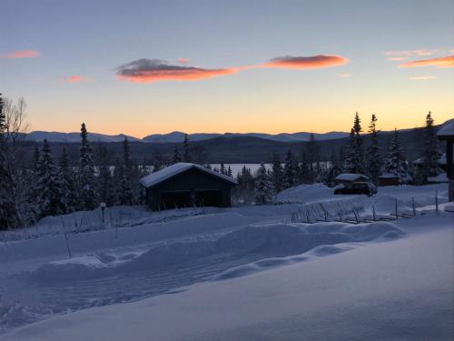 Ottsjö Bear Lodge