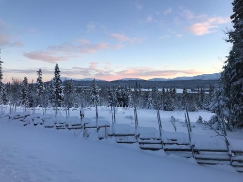 Ottsjö Bear Lodge