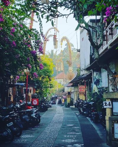 11 on Kajeng, Ubud (foto 3)