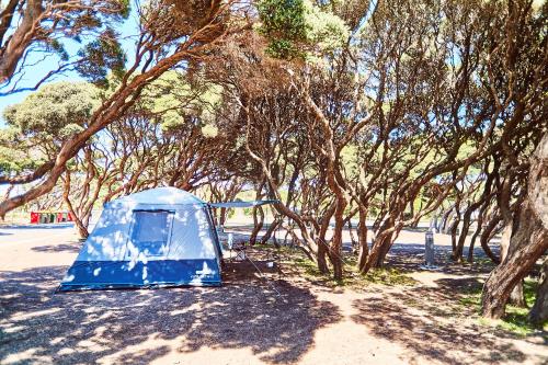 Anglesea Family Caravan Park