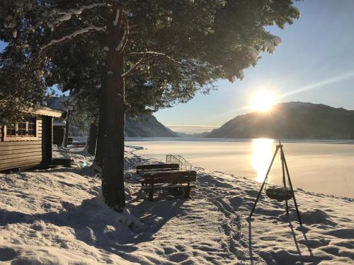 設施, 桑德維肯露營酒店 (Sandviken Camping) in 艾斯特比格德