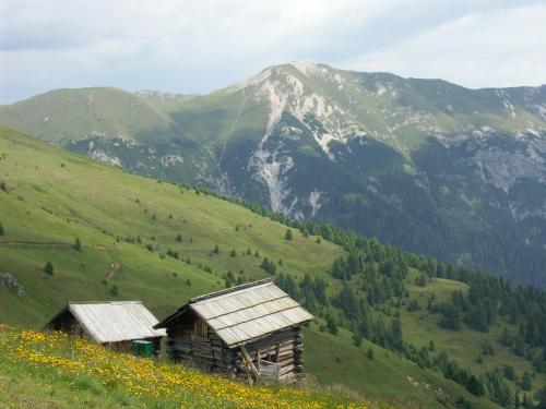 Hotel Garni Haus Anita - image 8