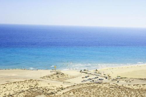 Cardon Big Calm 15 Cardon Big Calm 15