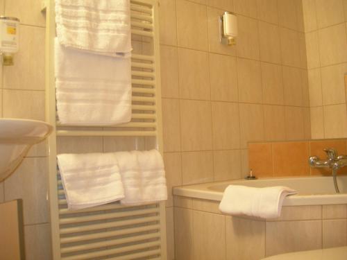 Hotel Crystal Interlaken - image 8