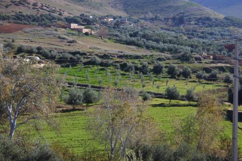 Le jardin d'habiba