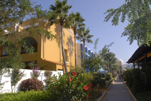 PLAYABALLENA SPA HOTEL - image 7