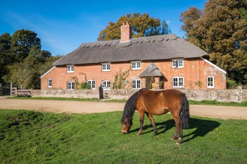 Thatched Cottage, , Hampshire