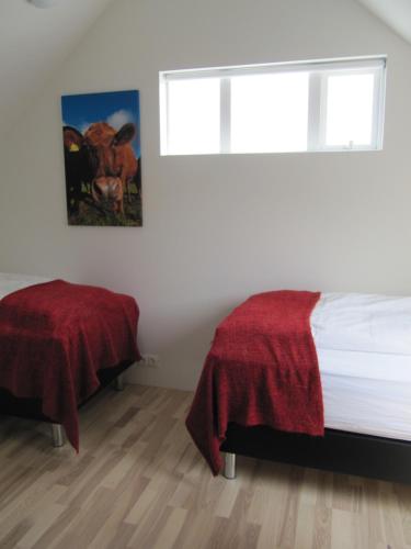 Grand-Inn Bar and Bed - main image