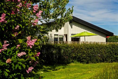 South Central Guesthouse - image 7