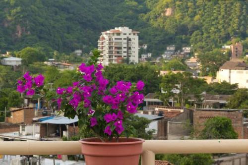 Oasis Hostel in Puerto Vallarta