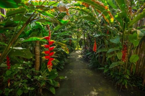 DBale Ananda Ubud Villa Stop at Dbale Ananda Ubud Villa to discover the wonders of Bali. Offering a variety of facilities and services, the property provides all you need for a good nights sleep. Service-minded staff will 