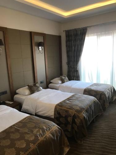 YZE Pırlanta Hotel - image 11