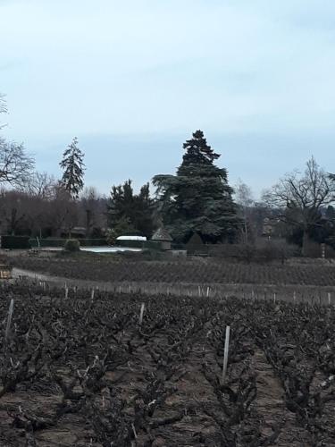 La Maison des Vignes