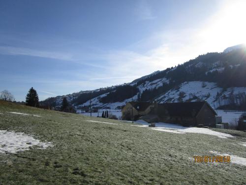 Stofel 2078 - image 12