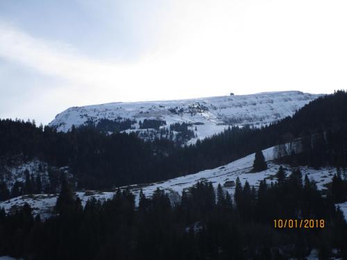 Stofel 2078 - image 10
