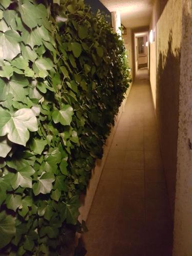 Studio BORDEAUX ST AUGUSTIN, Бордо (фото 7)